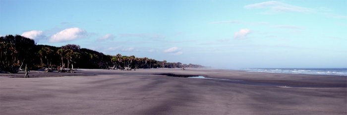 St. Catherines Island Beach Panorama