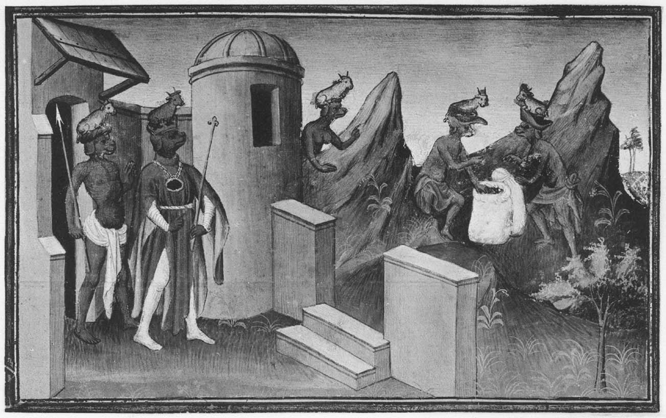 cynocephali