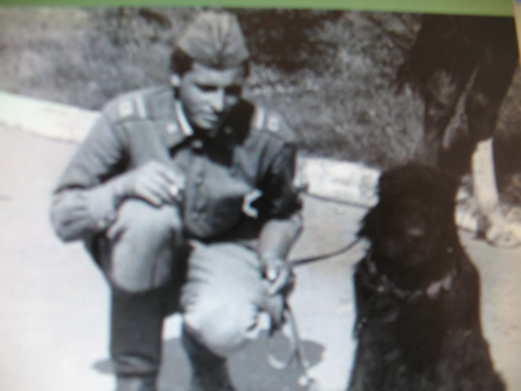 The Soviet War Dogs of WWII