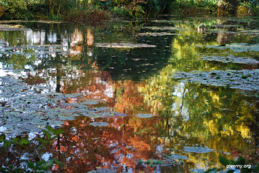 The Water Lily Gardens at Giverny