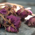 Dead_flowers,_Pére_Lachaise_Cemetery