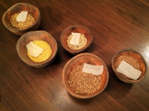 Grains on table Nicola Twilley