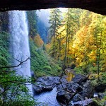 Silver_Falls_State_Park_(Marion_County,_Oregon_scenic_images)_(marDA0009)