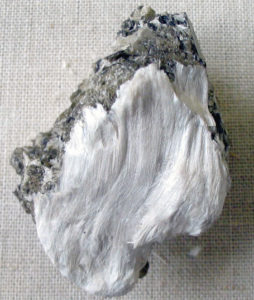 Fibrous tremolite asbestos on muscovite. Credit: Wikimedia Commons.