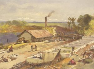 William Simpson.  Indigo Factory in Bengal. 1867
