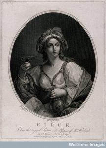 V0035920 Circe. Engraving by W. Sharp, 1780, after J. Boydell Credit: Wellcome Library, London. http://wellcomeimages.org 